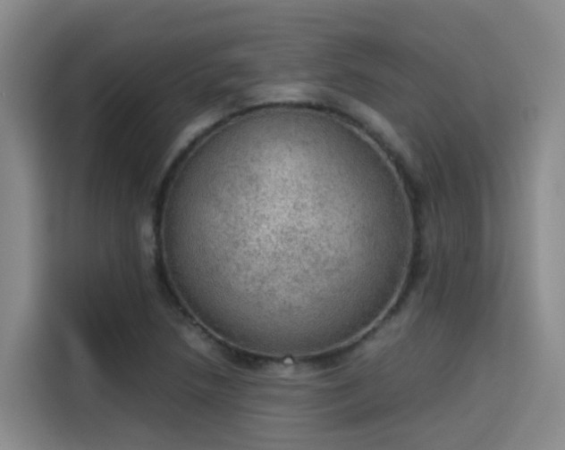 X0000115581218200911171003