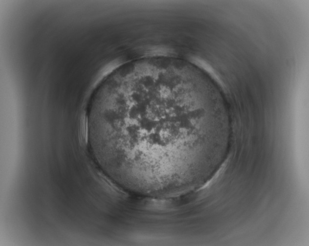 X0000115581219200911171003