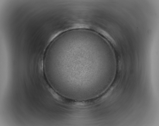 X0000115581220200911171003