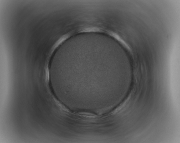 X0000115581221200911171003