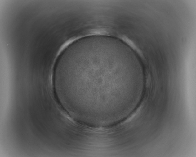 X0000115581222200911171003