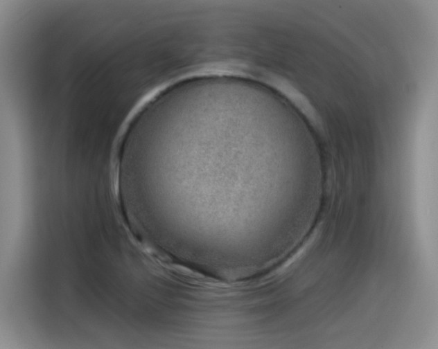 X0000115581224200911171003