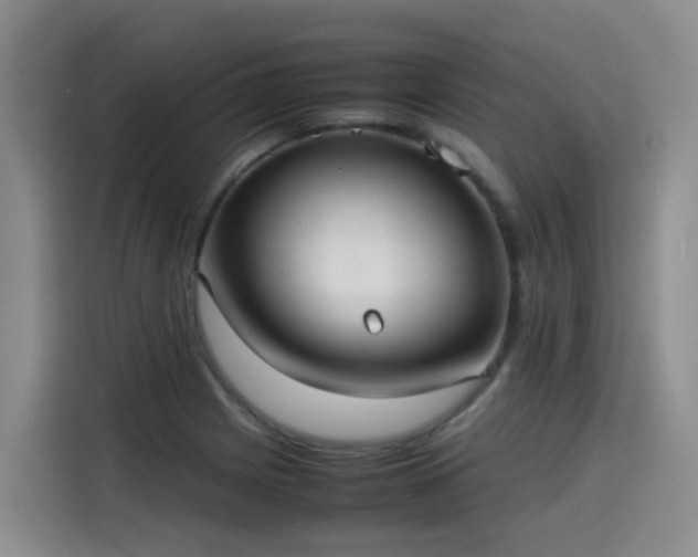 X0000115581225200911171003