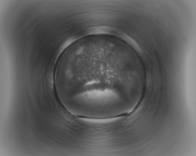 X0000115581226200911171003