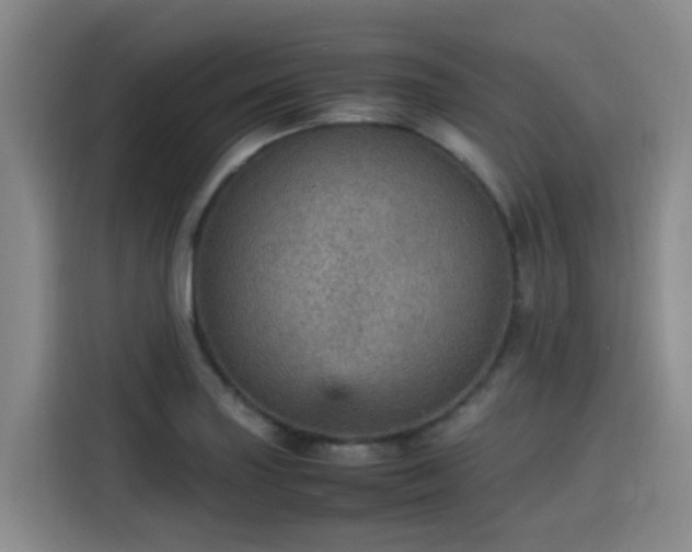 X0000115581227200911171003