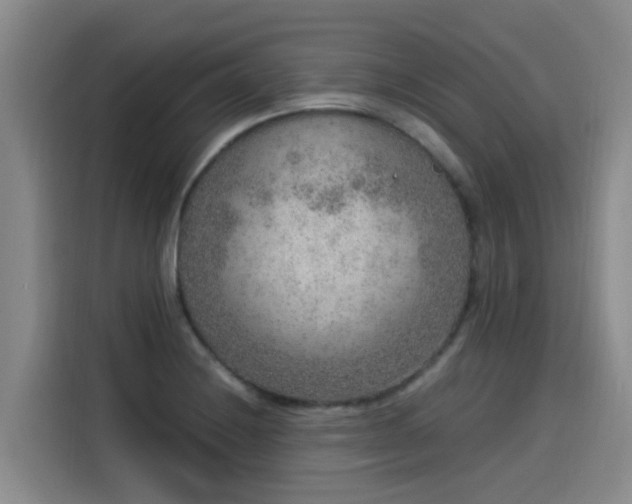 X0000115581228200911171003