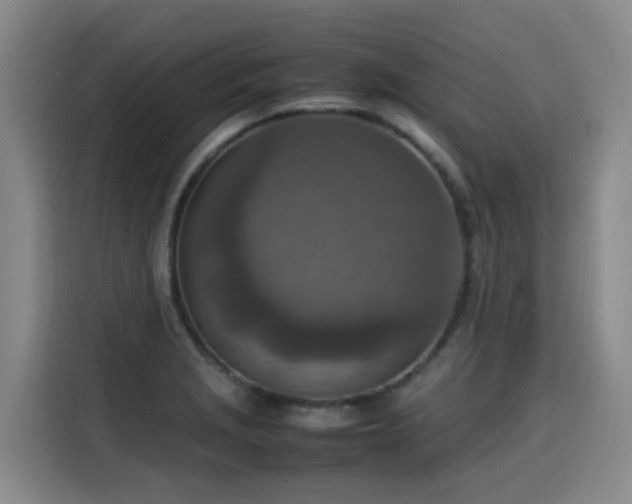 X0000115581229200911171003