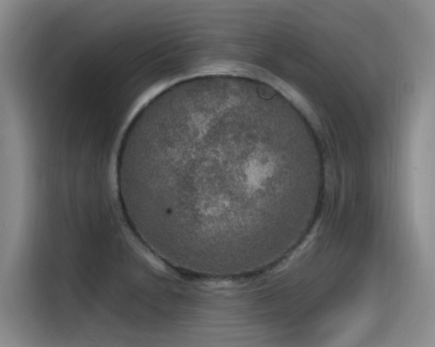 X0000115581230200911171003