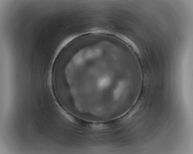 X0000115581231200911171003