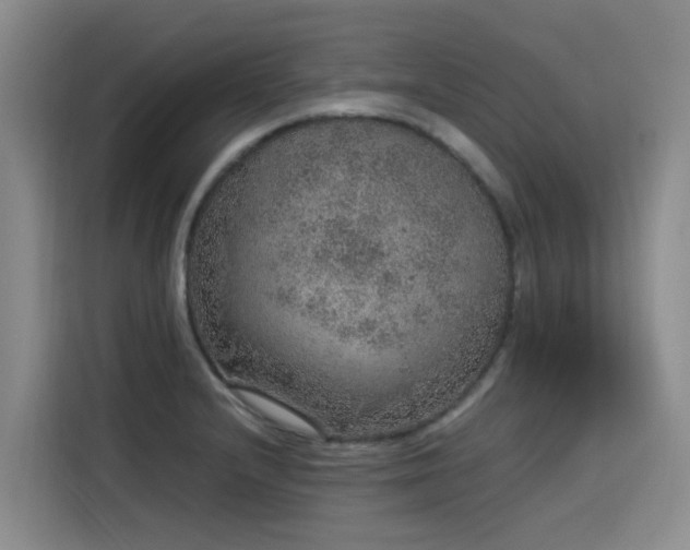 X0000115581232200911171003