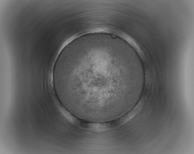 X0000115581234200911171003