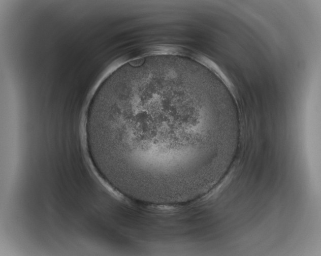 X0000115581235200911171003