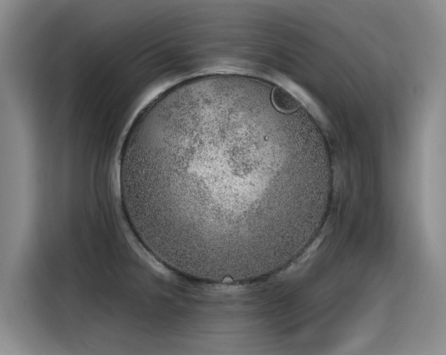 X0000115581238200911171003