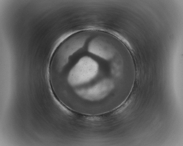 X0000115581239200911171003