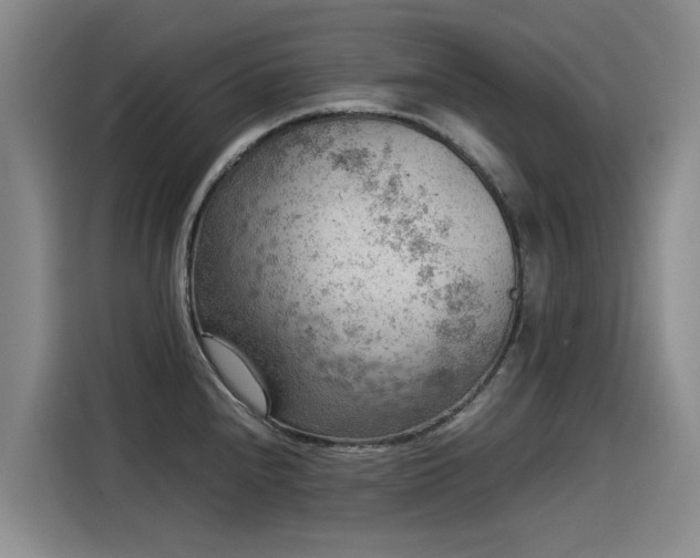 X0000115581240200911171003