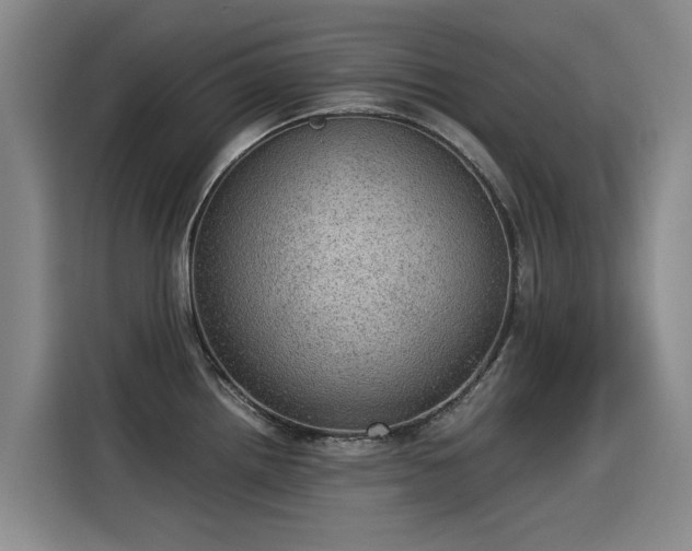 X0000115581242200911171003