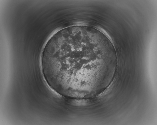 X0000115581243200911171003