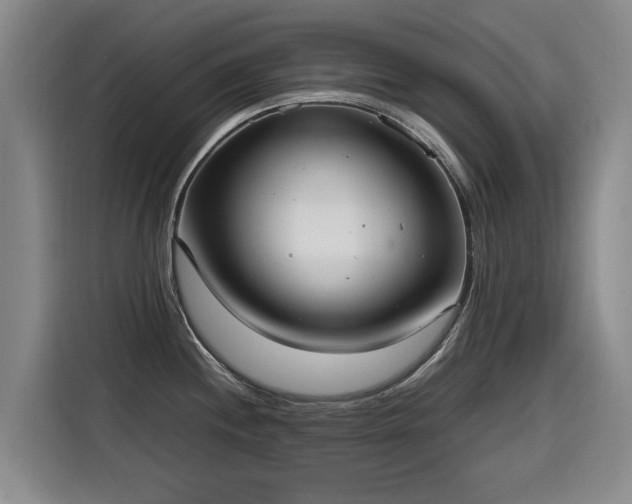 X0000115581244200911171003