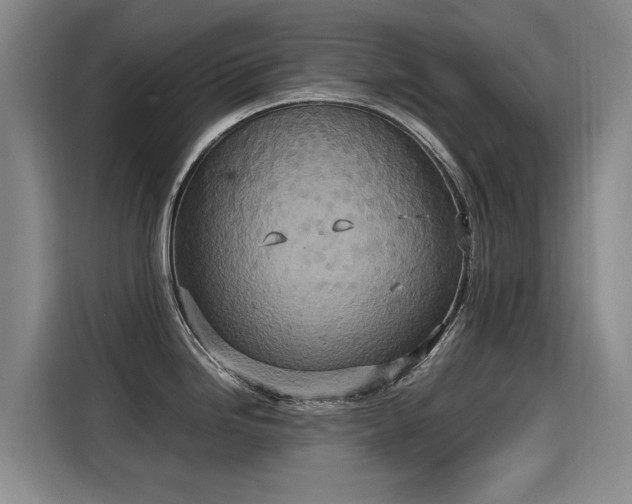 X0000115581246200911171003