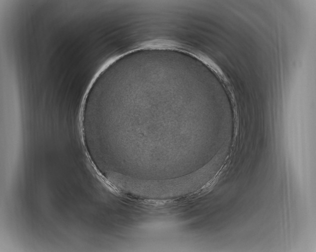 X0000115581248200911171003