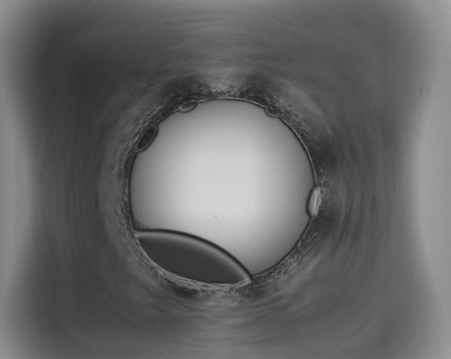 X0000115581249200911171002