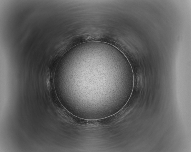 X0000115581250200911171002