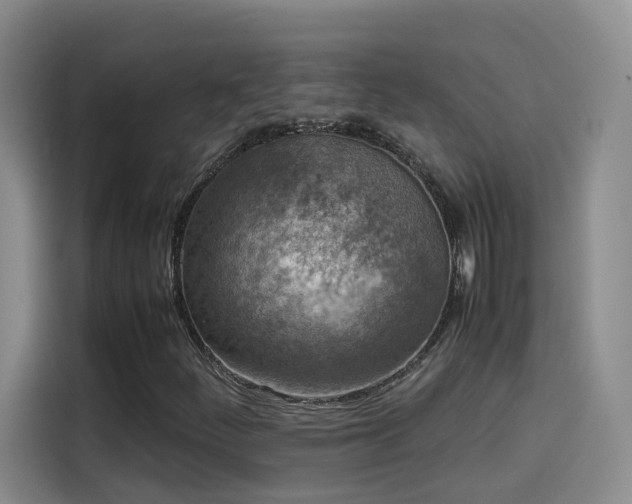 X0000115581252200911171002