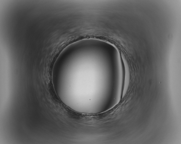 X0000115581253200911171002