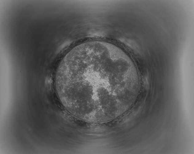 X0000115581254200911171002