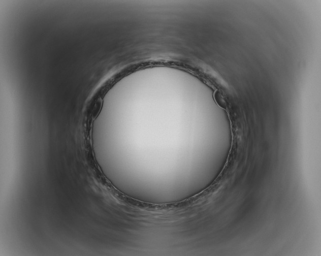 X0000115581256200911171002