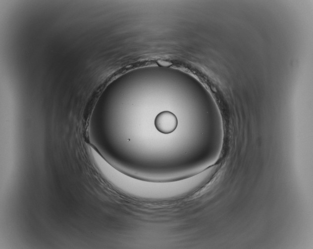 X0000115581257200911171002