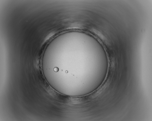 X0000115581258200911171002