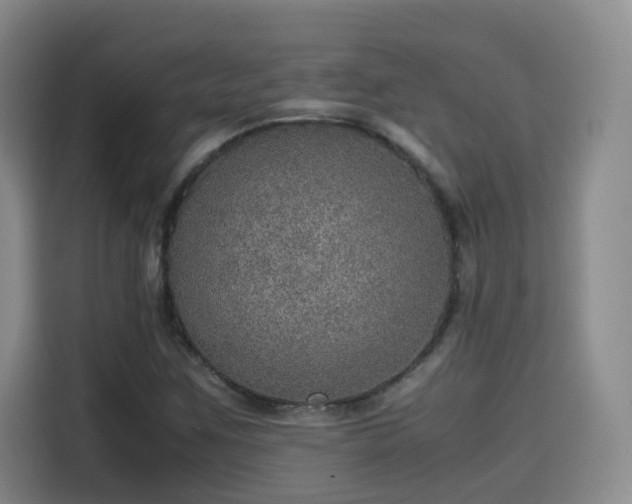 X0000115581259200911171002