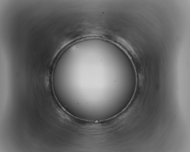 X0000115581260200911171002