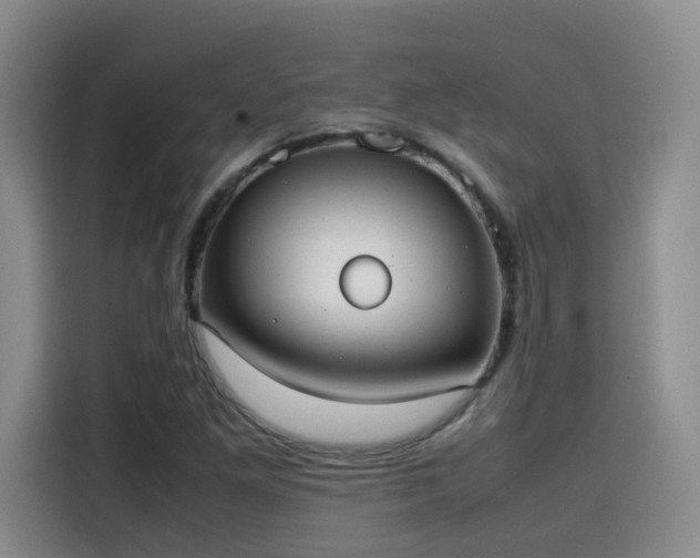 X0000115581261200911171002