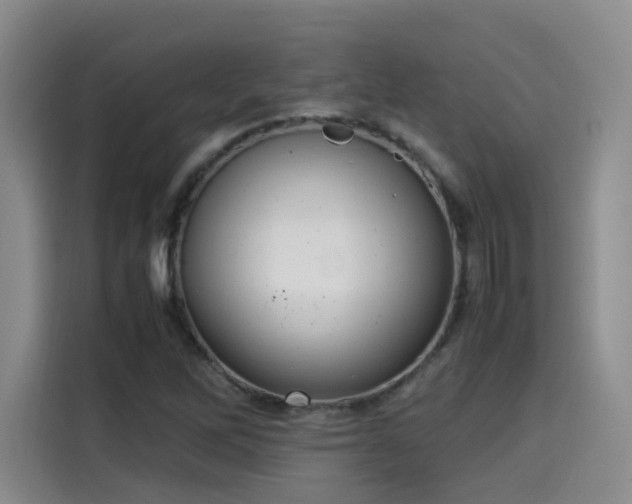 X0000115581262200911171002