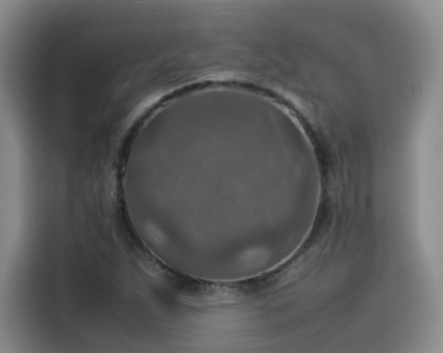 X0000115581263200911171002