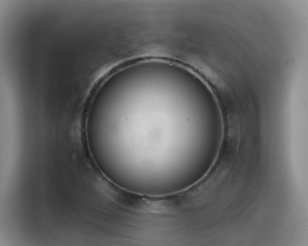 X0000115581264200911171002