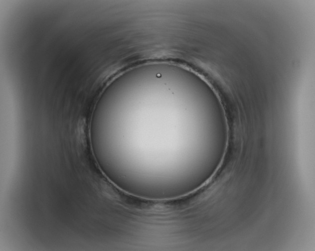 X0000115581265200911171002