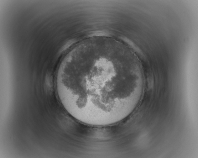 X0000115581266200911171002