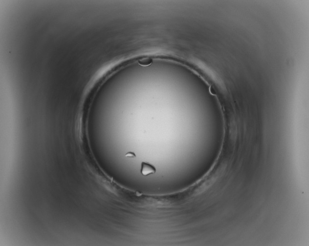 X0000115581270200911171002