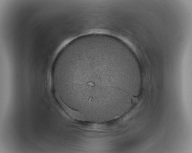 X0000115581271200911171002