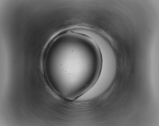 X0000115581272200911171002