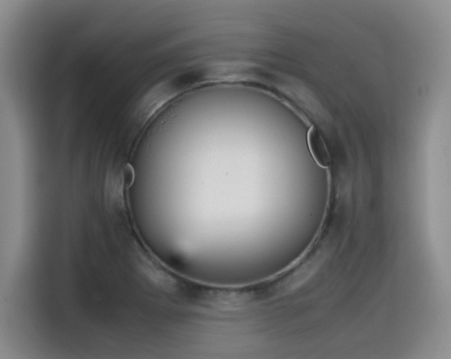 X0000115581273200911171002