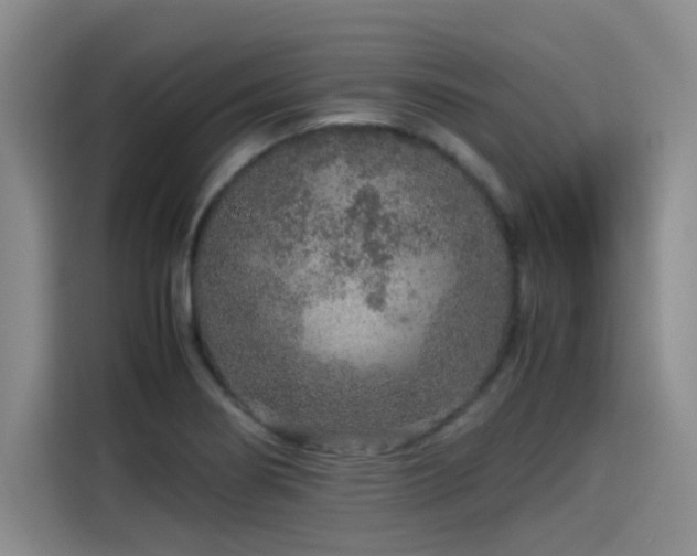 X0000115581274200911171002