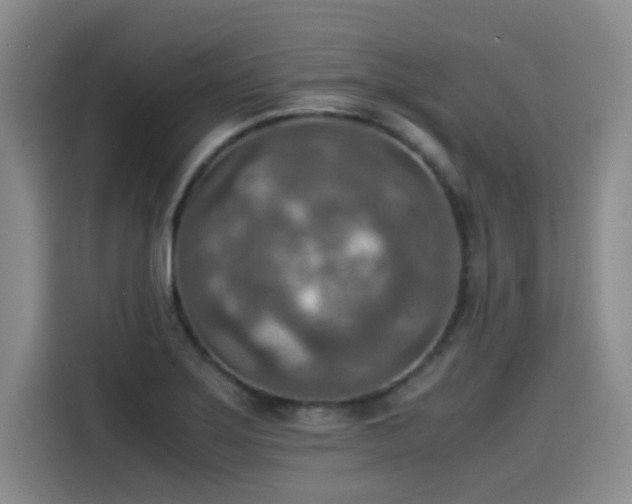 X0000115581275200911171002