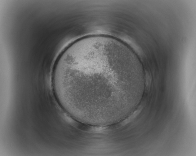 X0000115581278200911171002