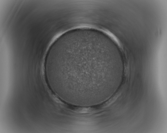 X0000115581279200911171002