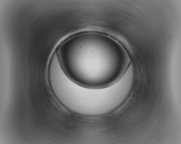 X0000115581280200911171002