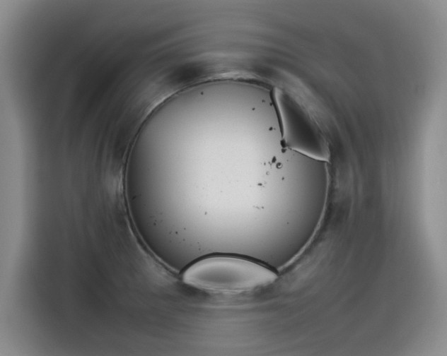 X0000115581281200911171002